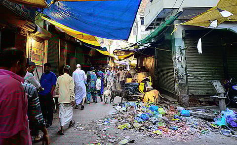 Trash litter on road
